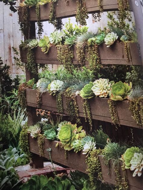 Succulents on a wall. Things To Know About Succulents on a wall. 